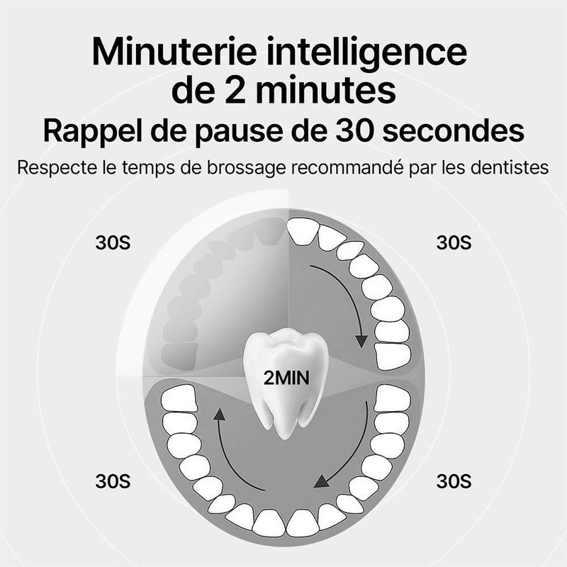 Brosse à dents électrique avec 6 Têtes de brosse / Médium ou Souple / 5 modes / Minuterie 2 Minutes / Chargeur sans fil / Autonomie 60 Jours / Étui de protection inclus