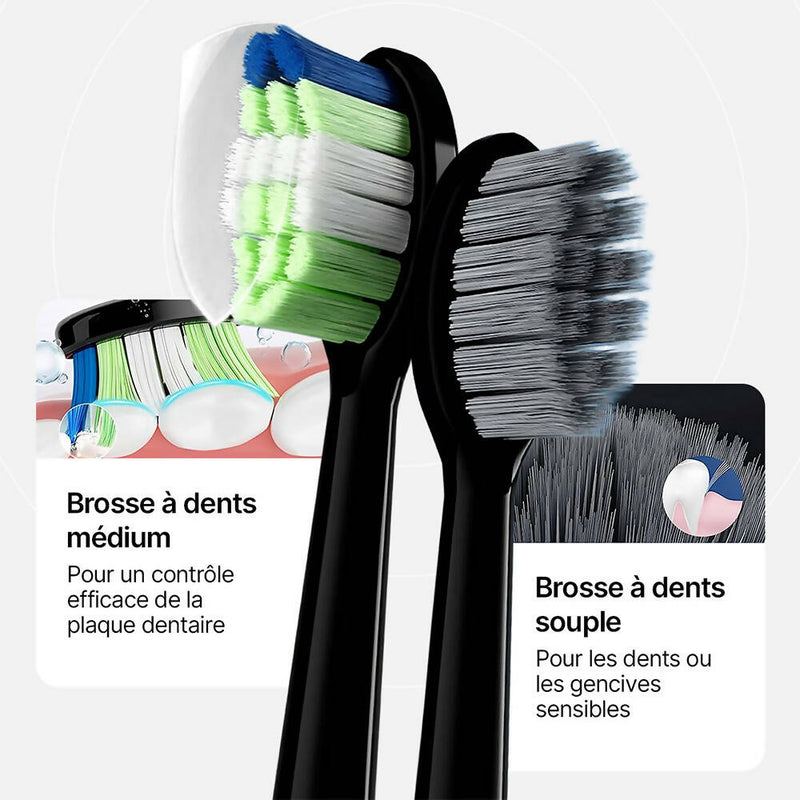 Brosse à dents électrique avec 6 Têtes de brosse / Médium ou Souple / 5 modes / Minuterie 2 Minutes / Chargeur sans fil / Autonomie 60 Jours / Étui de protection inclus